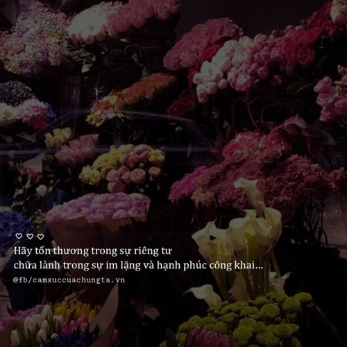 Lời Tâm Sự Số 3 - Mikelodic