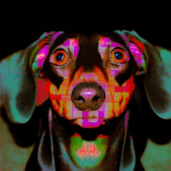 Elliot Adamson - Black Dachshund (Original Mix)