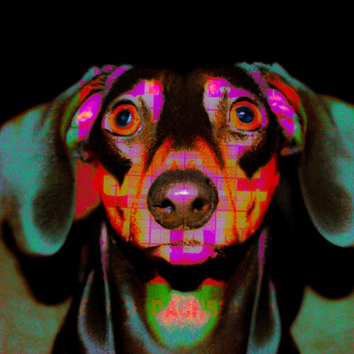 Elliot Adamson - Black Dachshund (Original Mix)