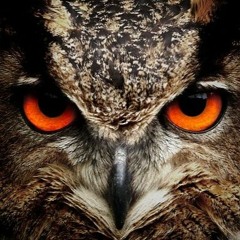 YANG WARAS NGALAH [PACE FADHIL]