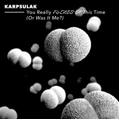 Karpsulak - You Really Fucked Up This Time (Or Was It Me?)