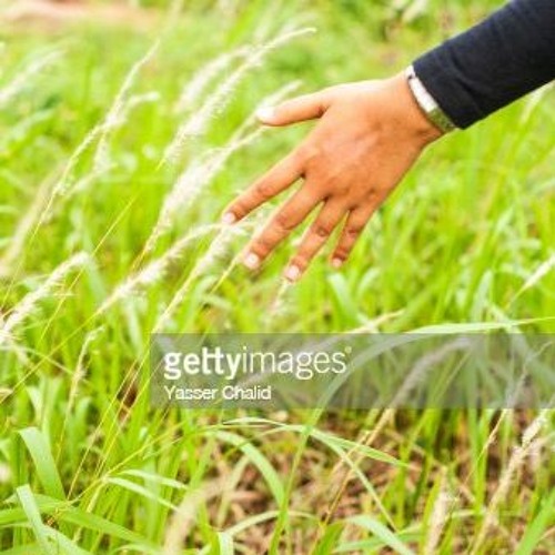 how to touch grass 