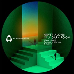 PREMIERE: Never Alone in a Dark Room - Niwt Xhepa (Marincu Remix) [BDEP028]