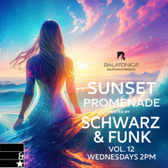 Schwarz & Funk - Sunset Promenade vol. 12