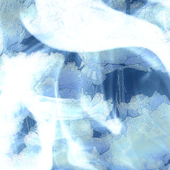 鲸物语·雪