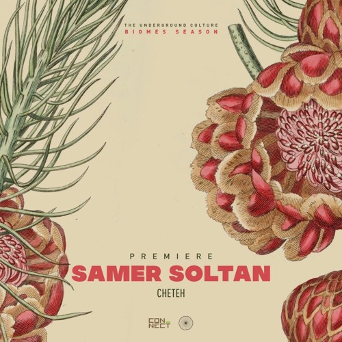 PREMIERE: Samer Soltan - Cheteh [WOOD]