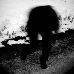 newhorses (prod. RayOffkey)