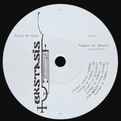 NEW HIT: Tyler Ov Gaia - Temple Ov Ghosts (Mental Doors 小さな海 mix) [Ekstasis]