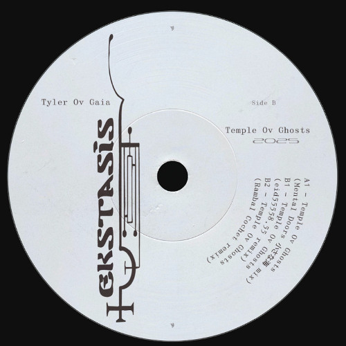 NEW HIT: Tyler Ov Gaia - Temple Ov Ghosts (Mental Doors 小さな海 mix) [Ekstasis]
