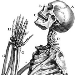 Whips Chains & Heels