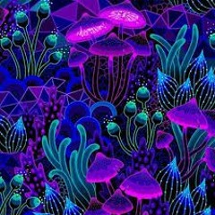 Psychidelic Tribal Music @Fantasyst