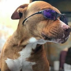 Mega Aquecimento 07 Pisei No Cachorro Dj Rayan  Dj Thales Jql