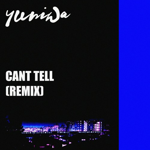 Cant Tell (Remix)