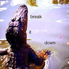 Break it Down