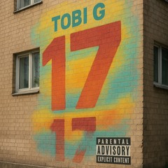 17 vol.1