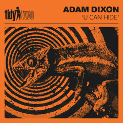U Can Hide (Extended Mix)