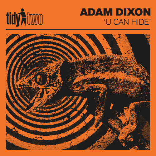 U Can Hide (Extended Mix)