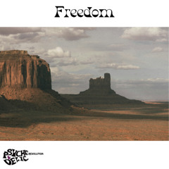 Freedom