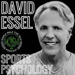 🏀DAVID ESSEL: SPORTS PSYCHOLOGY & MENTAL HEALTH | 🎙️SWTT 229