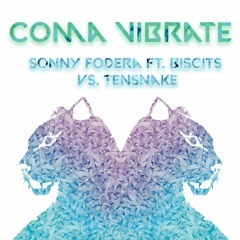 Sonny Fodera ft. Biscits vs. Tensnake - Coma Vibrate (DJ Jelle Mashup)