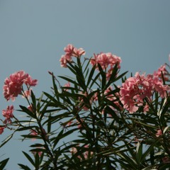 Frühling