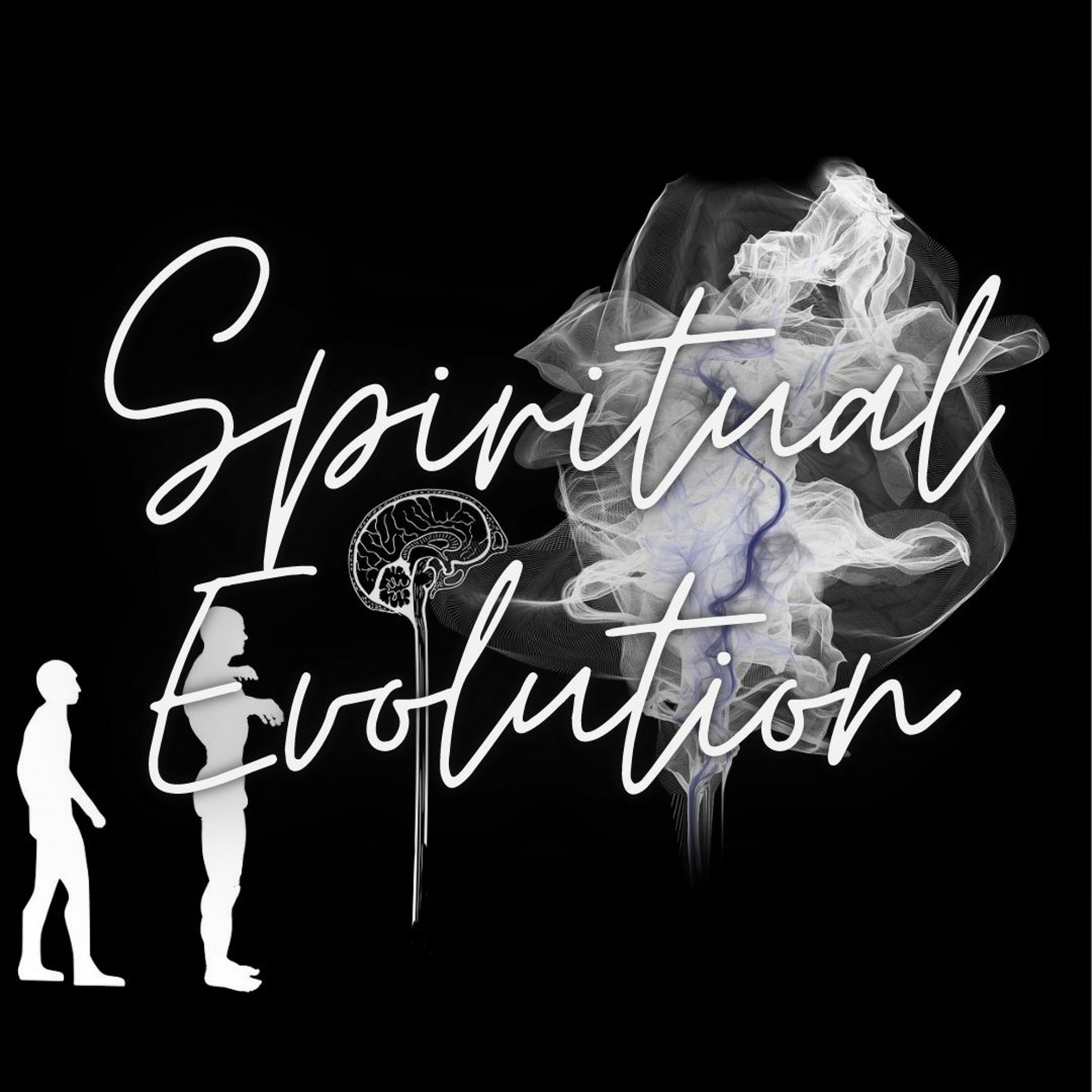 Spiritual Evolution