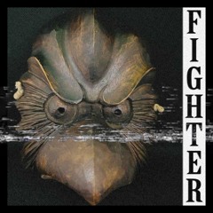 Fighter