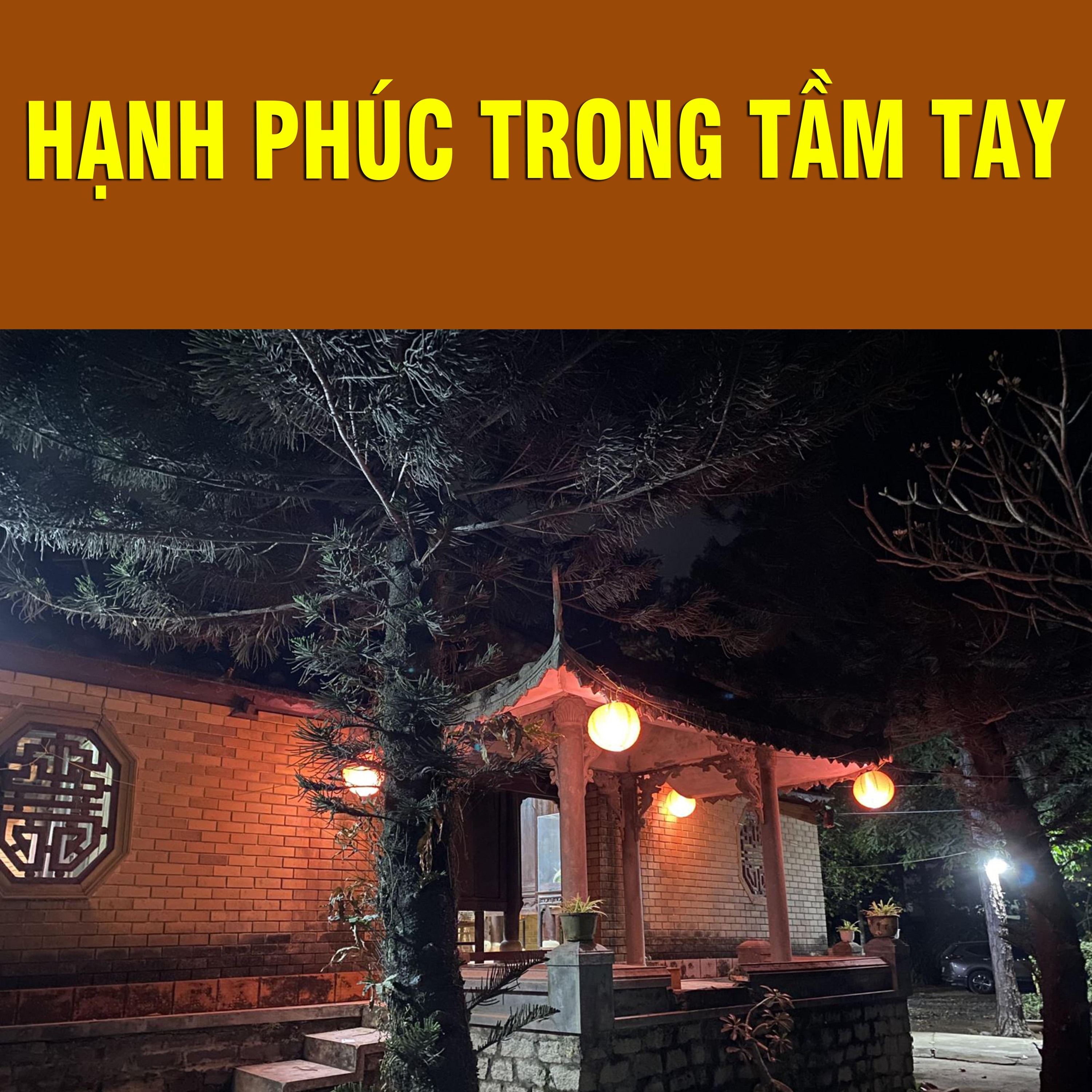 Thích Bảo Nguyên
