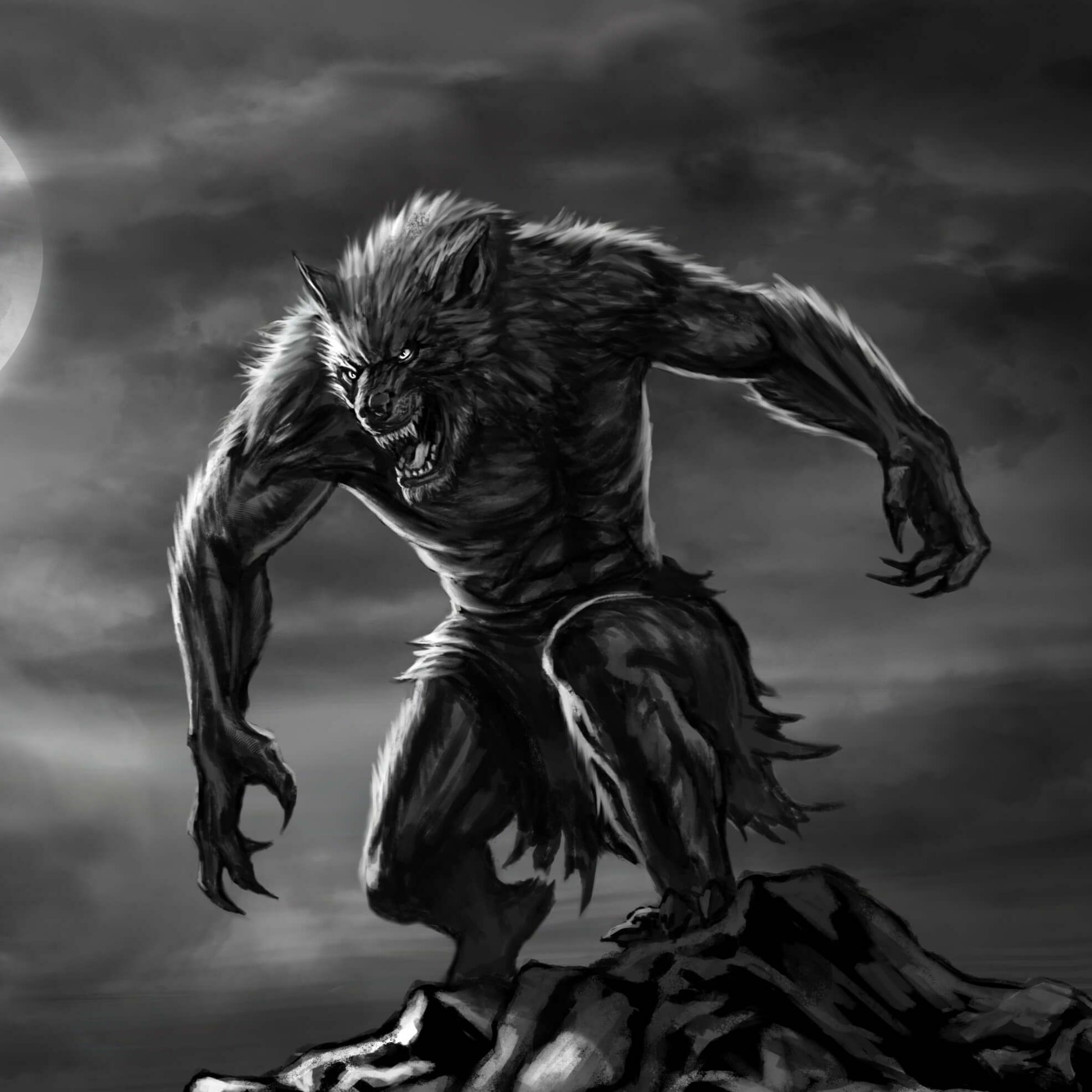 S03E03 - The Michigan Dogman