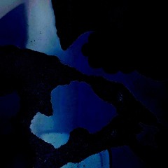 hk_tradacoustic_414