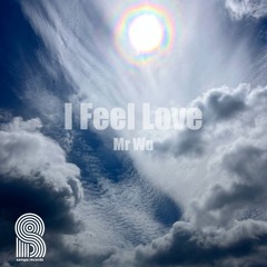 Mr Wu - I Feel Love (Original Mix)