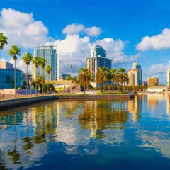 Best Things To Do In Tampaclearwaterst Pete Tours Reviews