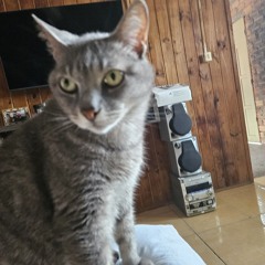 cxsssjotao trajadão