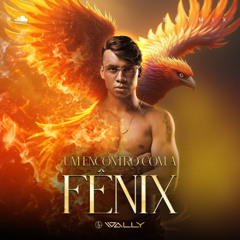 Um Encontro com a Fênix