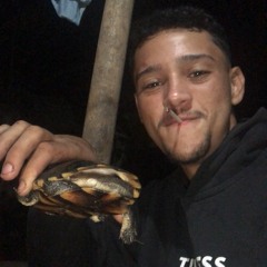 So as pura