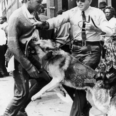 Don’t Bow Down To No One.