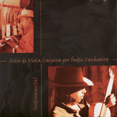 Violinha fandangueira