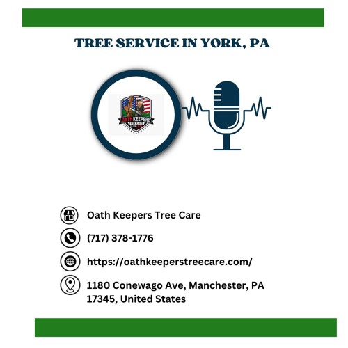 how-to-tell-if-a-tree-needs-to-be-removed-in-york-pa