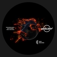 WLR.PREMIERES.005 Encoded Data - Acid Spirit [NeoRecord]