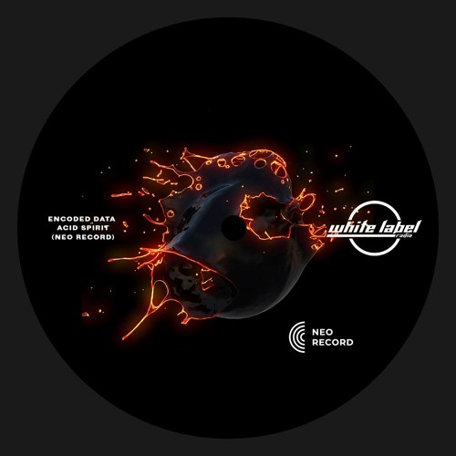 WLR.PREMIERES.005 Encoded Data - Acid Spirit [NeoRecord]