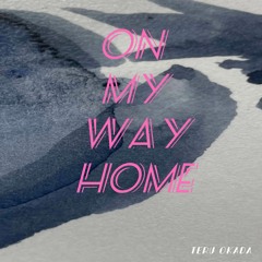 On My Way Home (Original Radio Mix2)(2024 Jan Vocals)