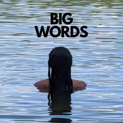 Big Words (Demo)