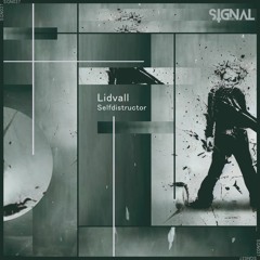 Lidvall - Selfdistructor (Original Mix)