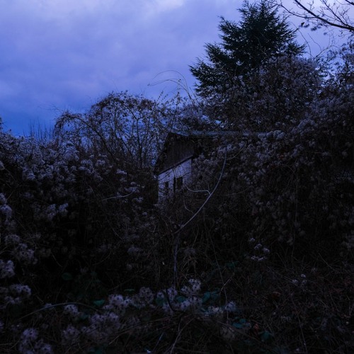 Absurd Lustre (Before Ulla)