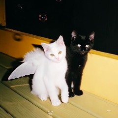 cigarettes after sex - apocalypse (Teepifay remix)