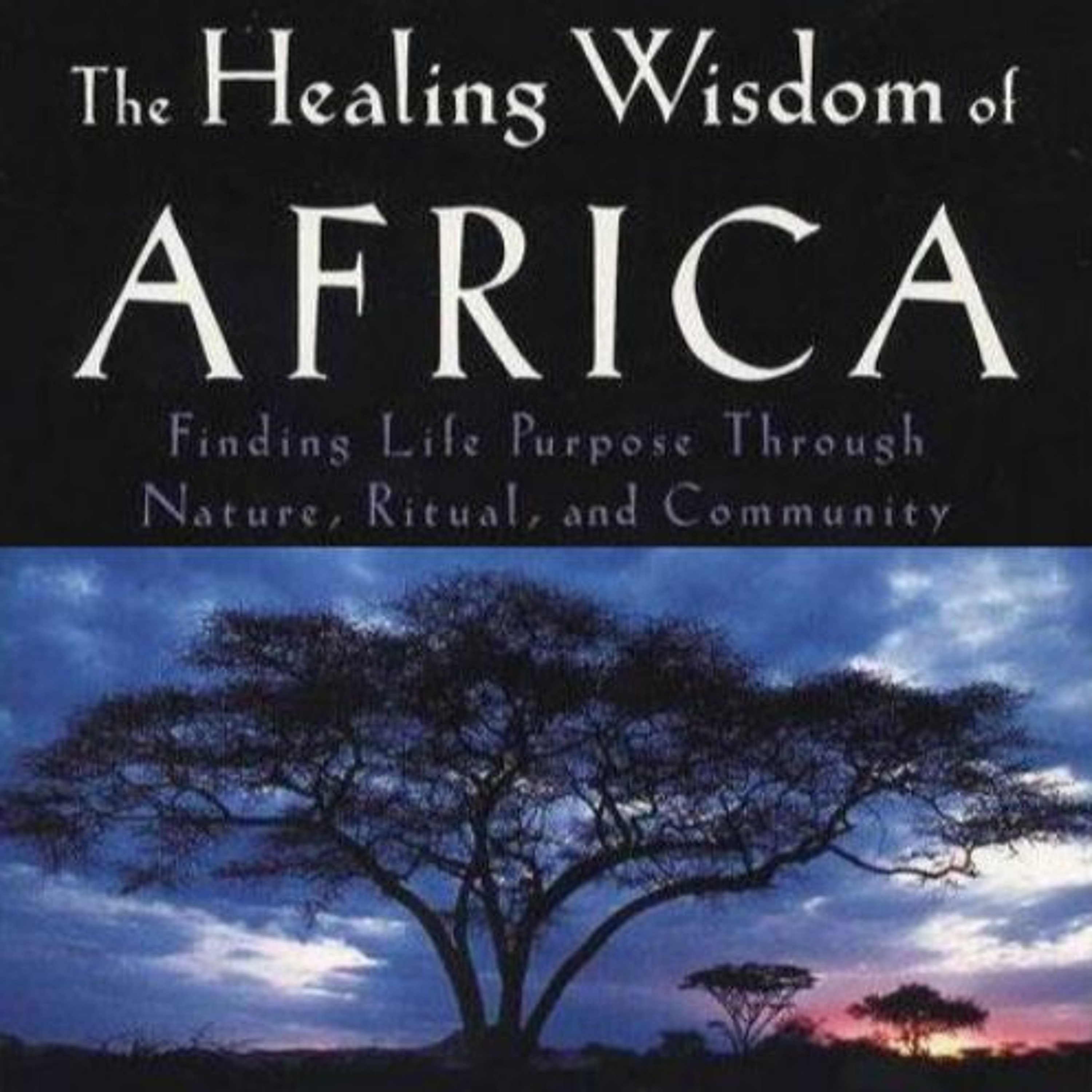 Malidoma Some- Culture beaten out of him [AFRICAN ANCESTRAL WISDOM TEACHINGS] (DAGARA) episode artwork