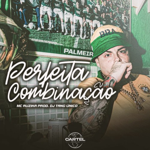 Perfeita Combinação - MC Ruzika, Tang Único