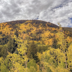 Only You Maxx Demo 1