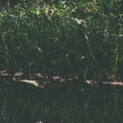 (Pt. 2)