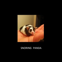 Blah - Snoring Panda